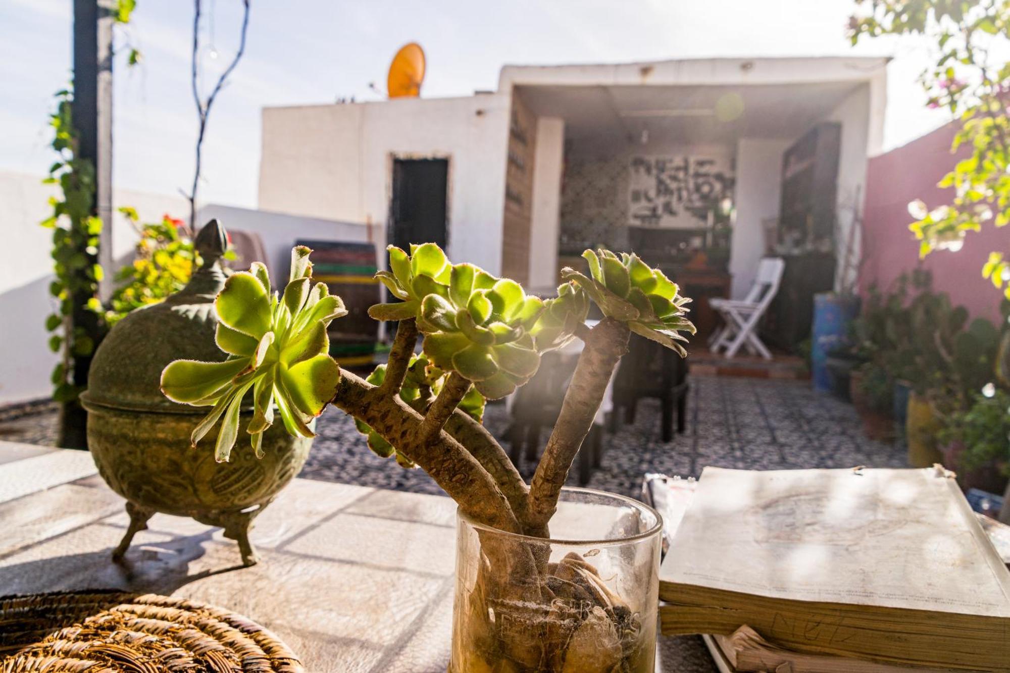 Essaouira Youth Hostel & Social Travel Eksteriør bilde